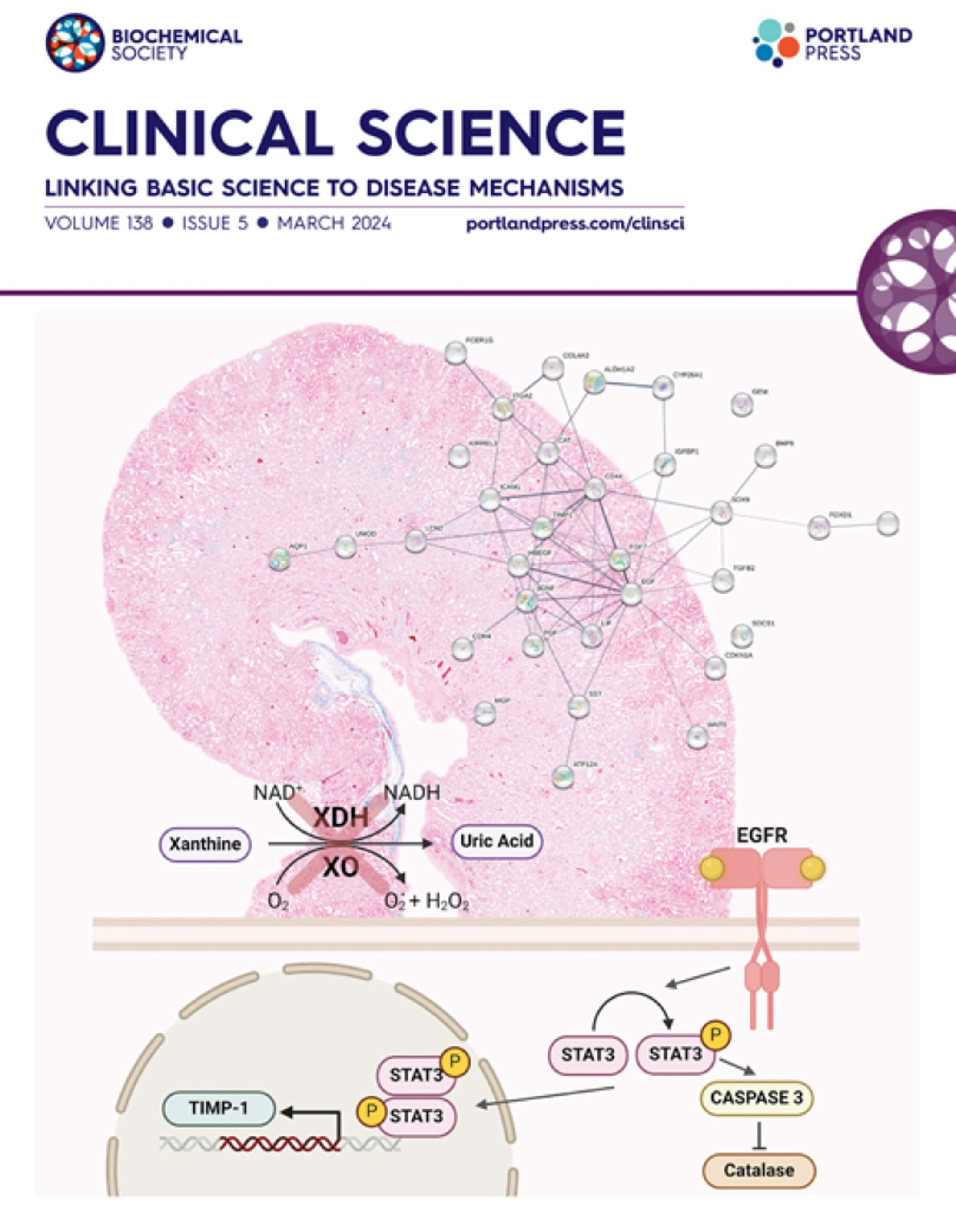 Clinical Science Journal