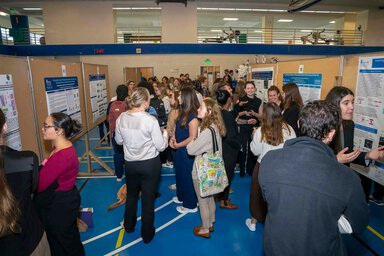 A row of people talking with each other. Cork boards line either side of the group. The boards have blue and white posters on them.