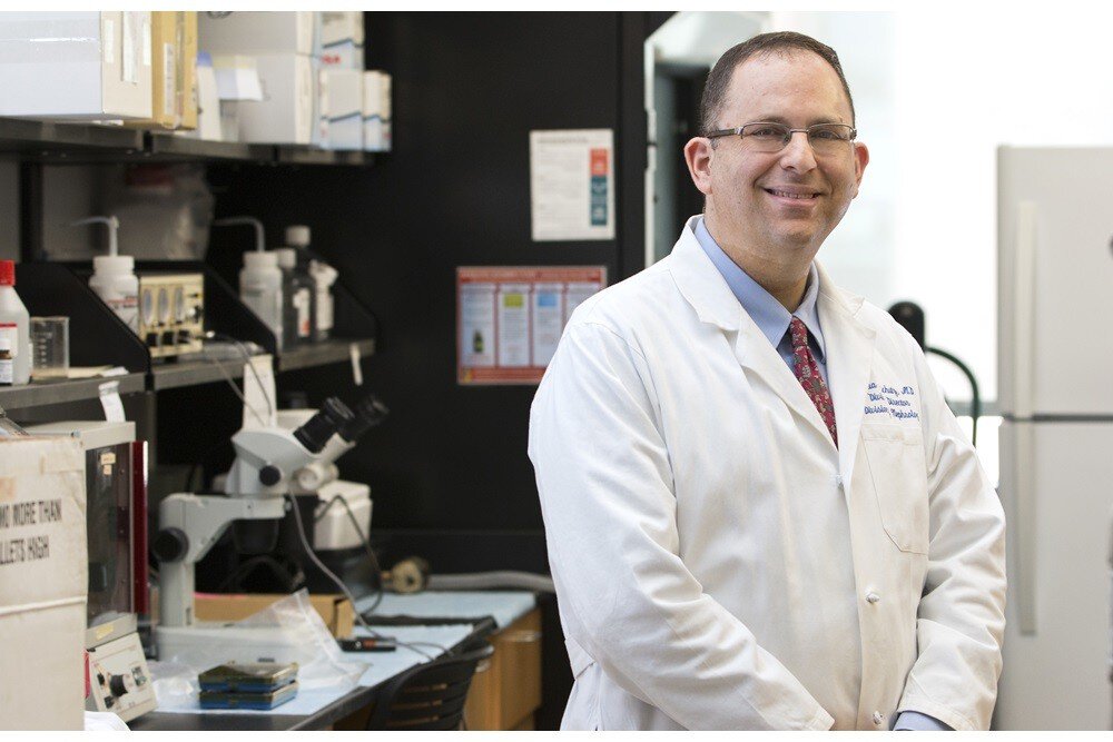 Common asthma drug shows promise for reversing fatty liver