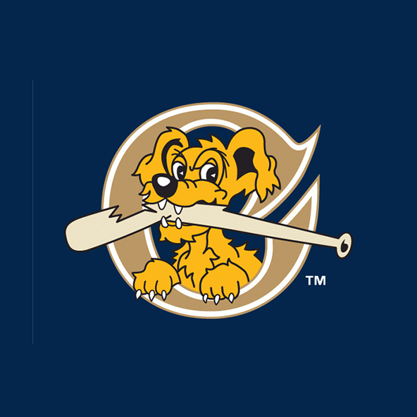 South Carolina Charleston Riverdogs Logo