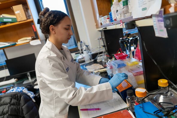 A student opens a box with test tubes in it at a bench in a research lab.