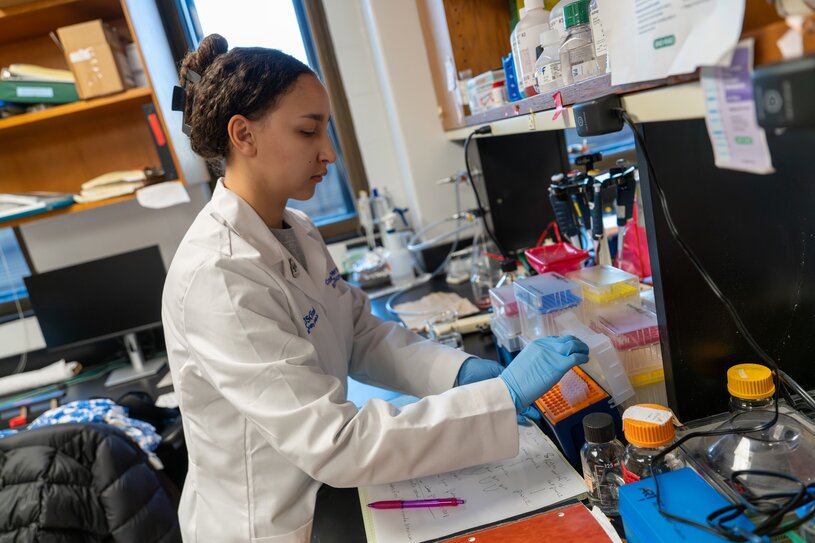 A student opens a box with test tubes in it at a bench in a research lab.