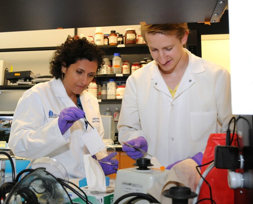 Fibrosis and Inflammation Research