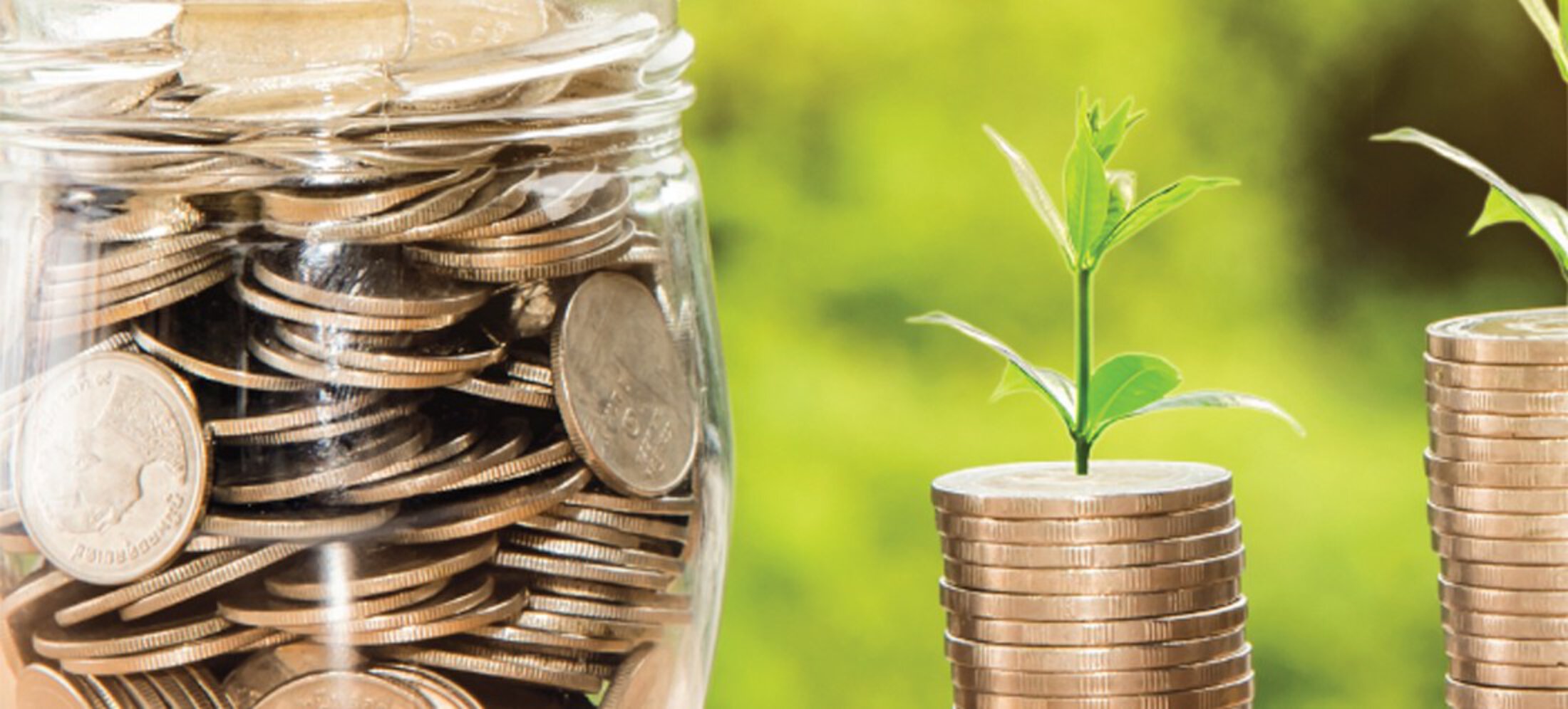 Medical University of South Carolina Financial Literacy image of stacked coins and plants growing out of money