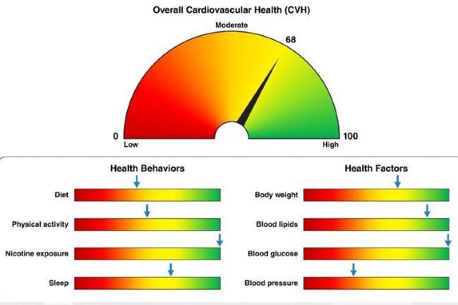 Life's Essential 8 Steps for A Healthy Heart | MUSC