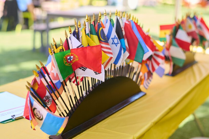 Center for Global Health images of flags of the world.