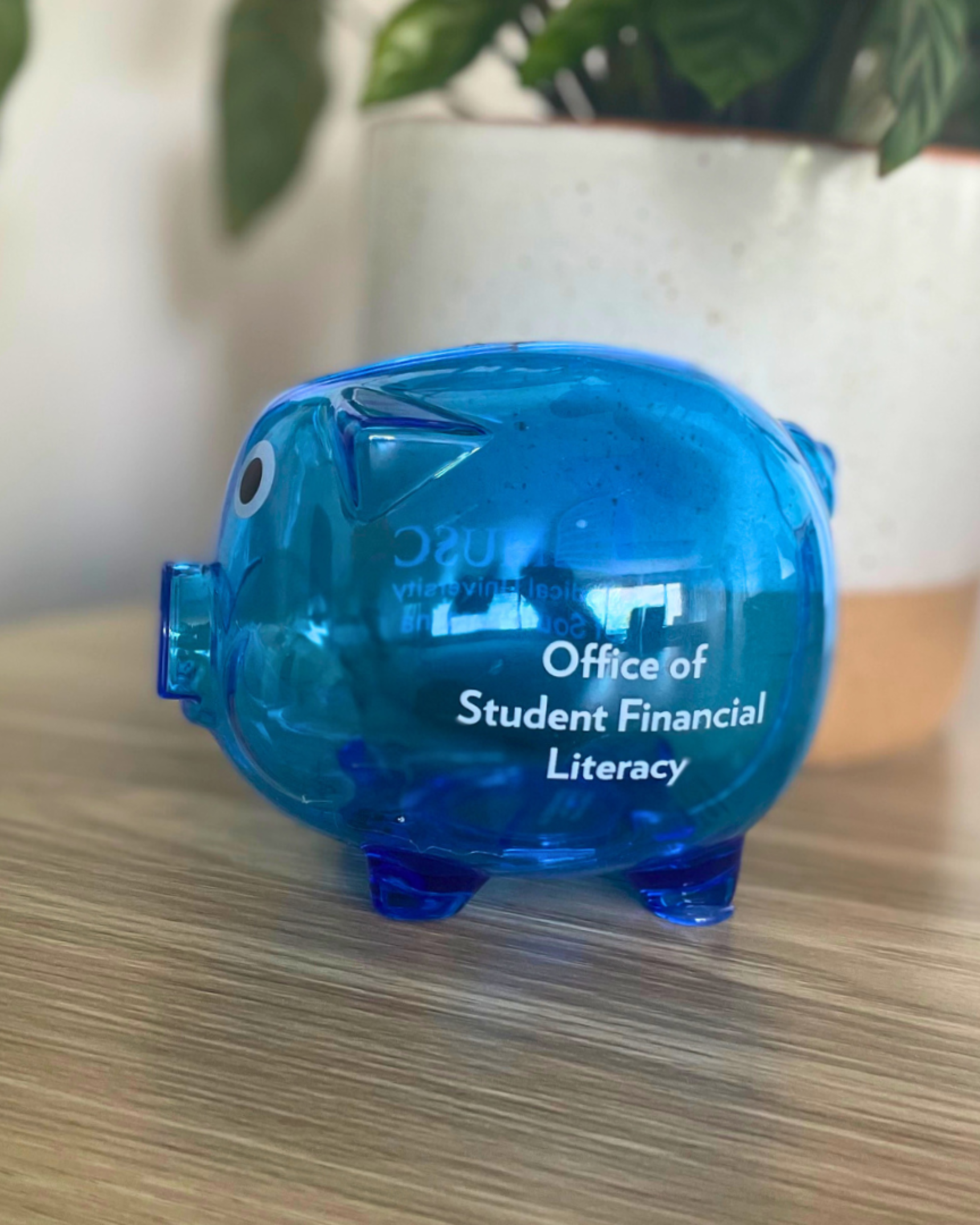 A translucent blue plastic piggy bank labeled “Office of Student Financial Literacy” sits on a wooden surface with a large plant pot blurred in the background.