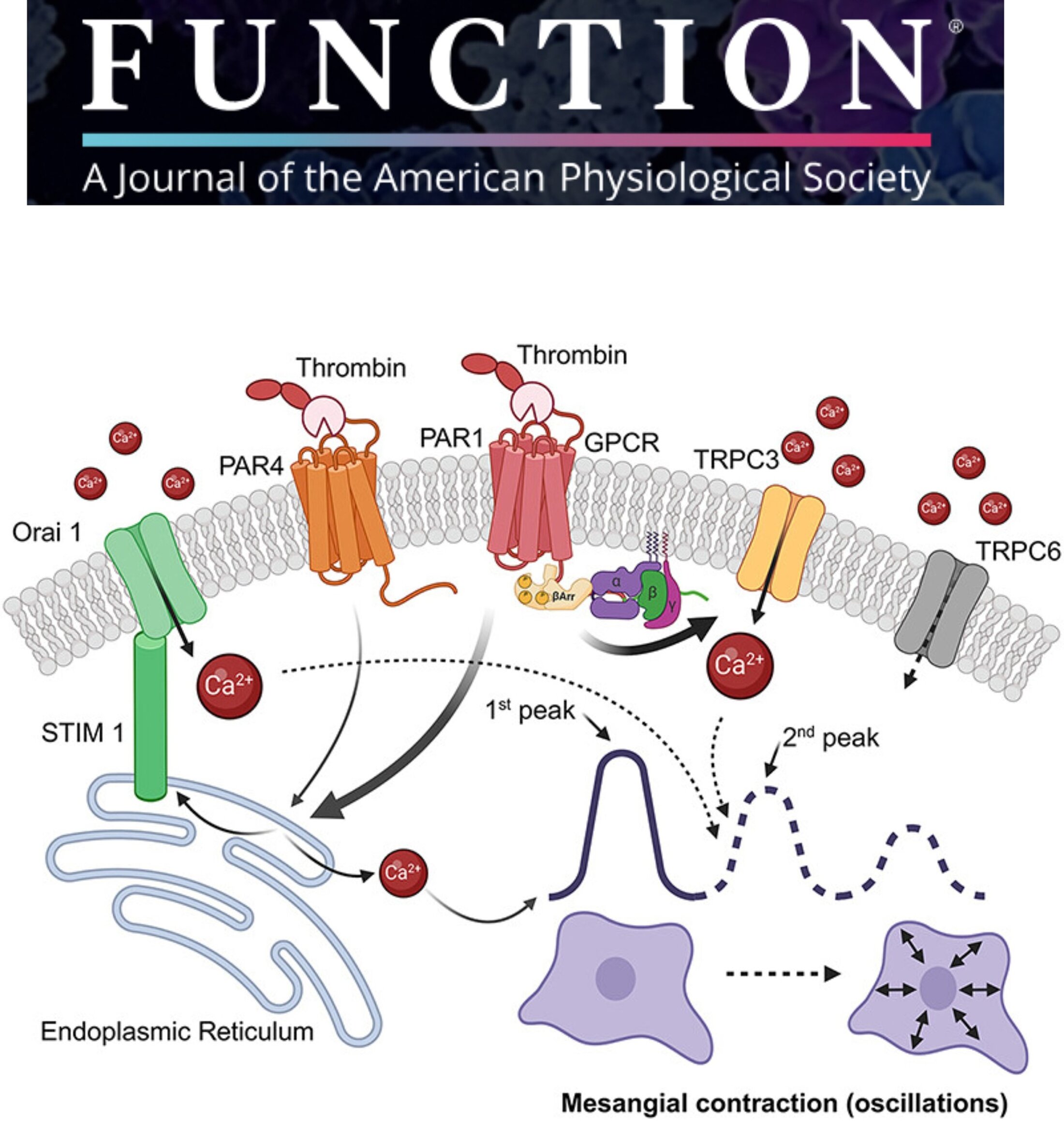 Function Journal Cover