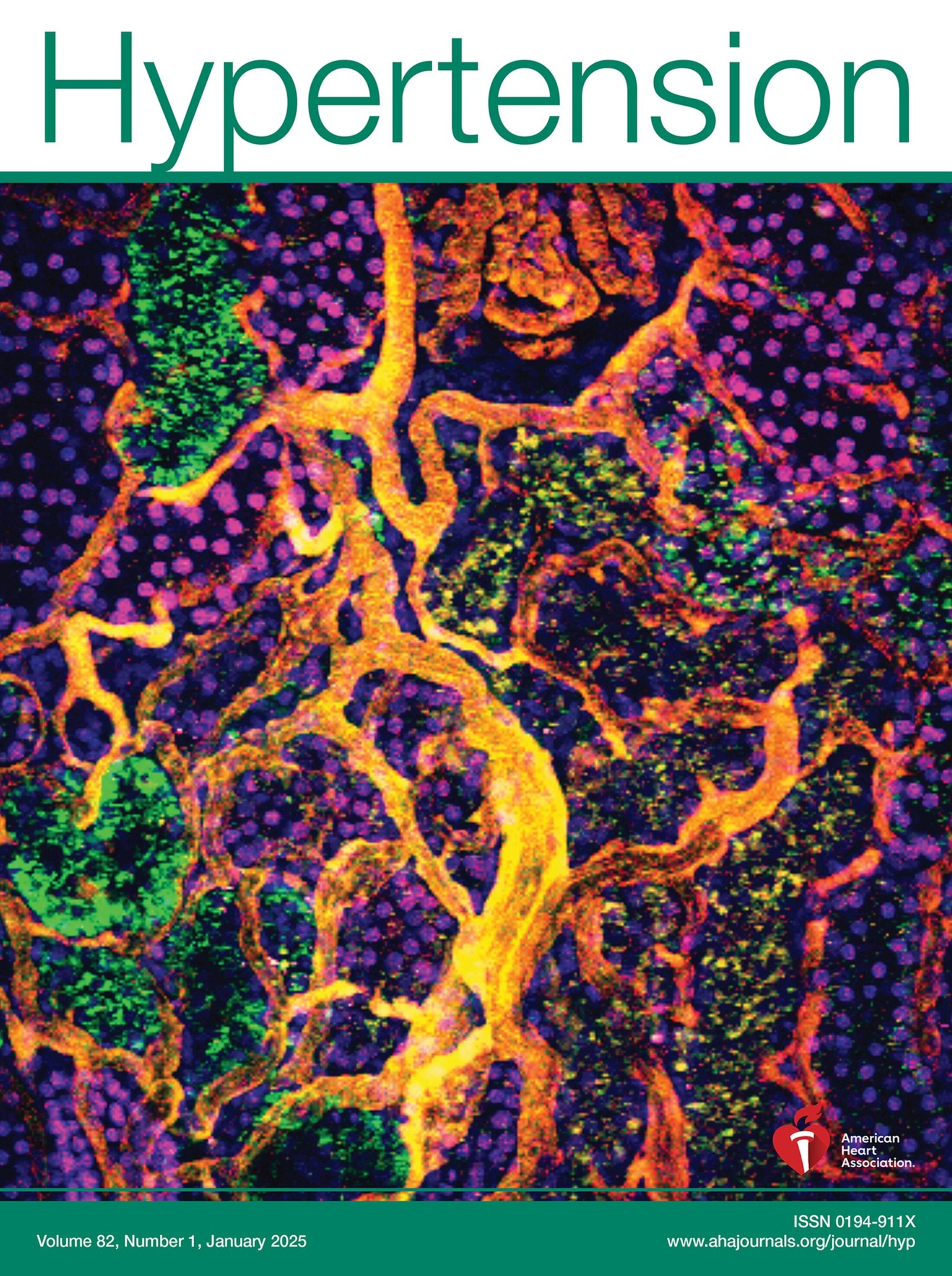 Hypertension Journal Cover
