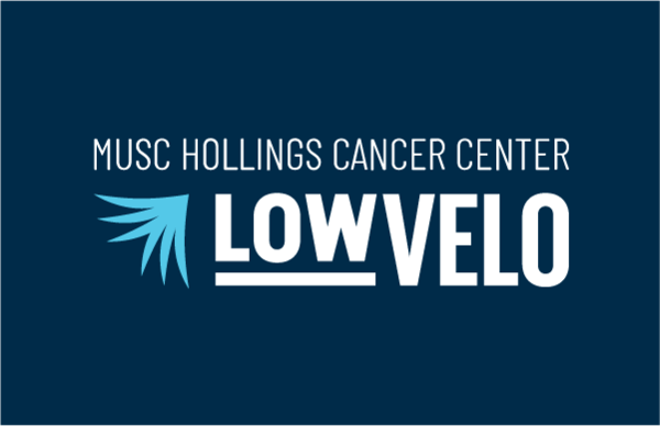 LOWVELO logo.