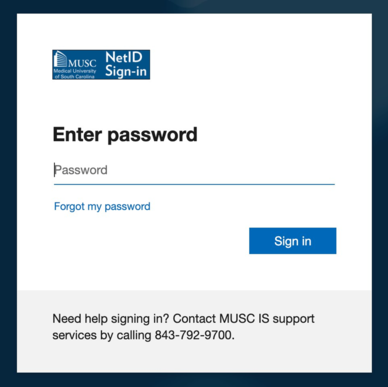 screen capture to enter password
