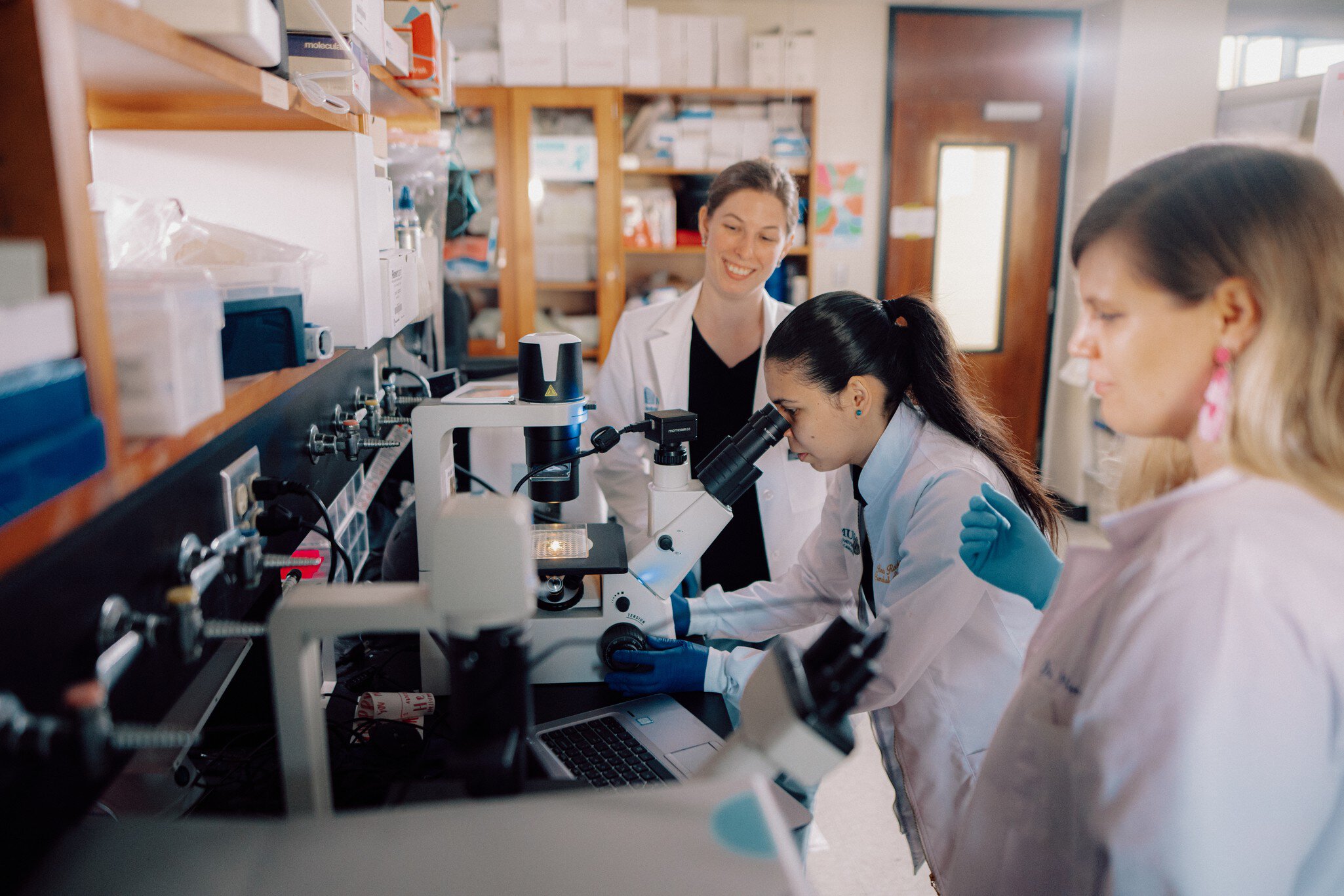 Research & Scholarship | Department of Regenerative Medicine & Cell ...