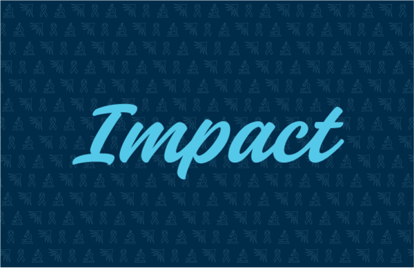 LOWVELO graphic with word Impact