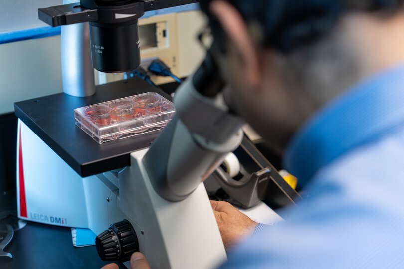 Looking over the shoulder of someone peering through a microscope.
