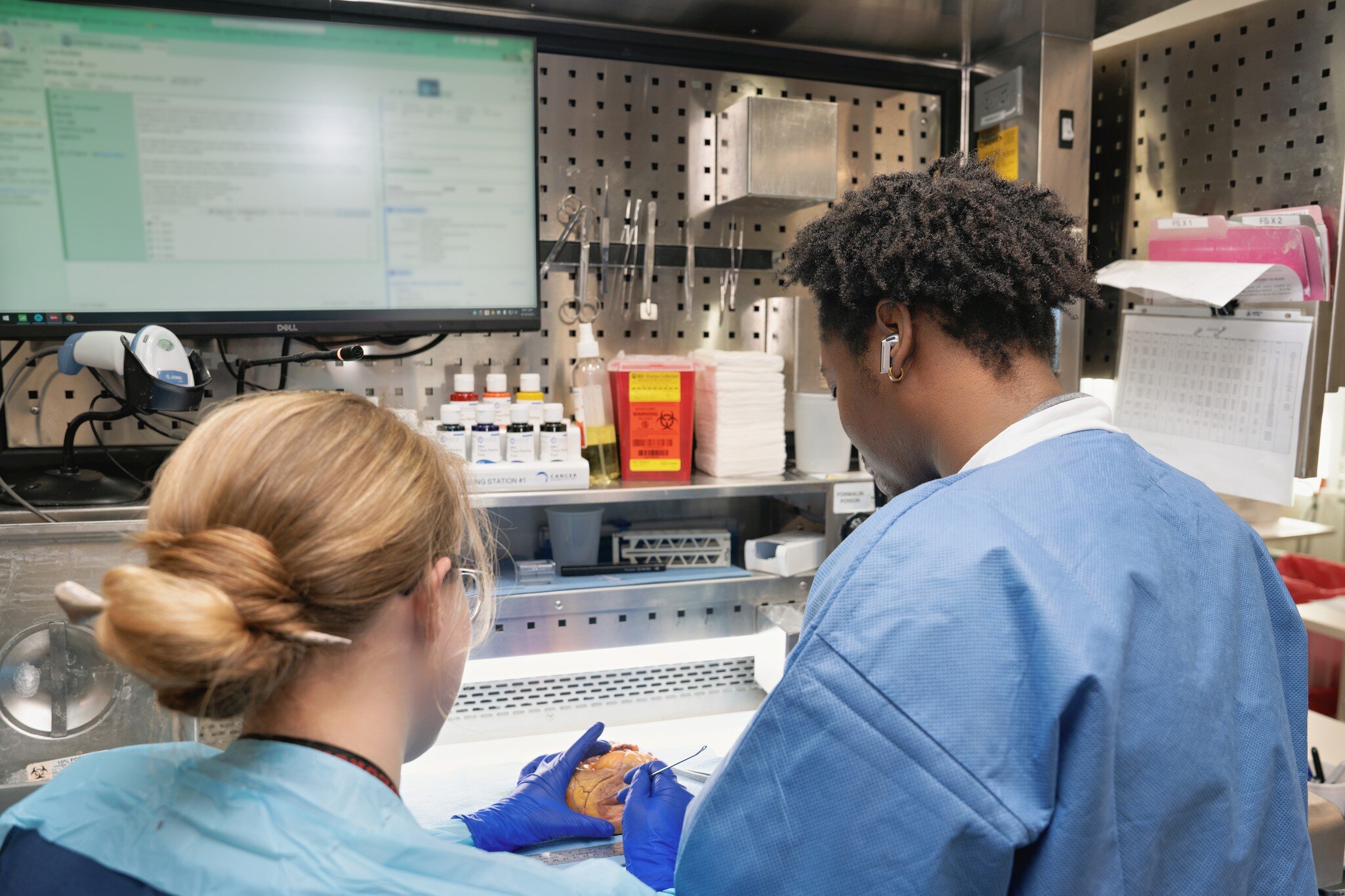 Master of Science in Pathologists' Assistant Studies | MUSC College of ...