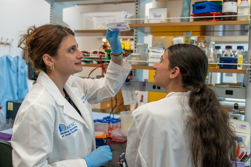 Two women in a research lab look up at the tray one of them holds in the air.