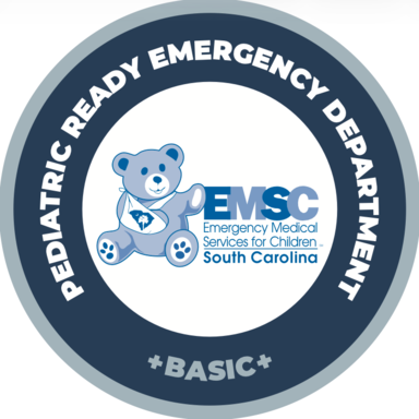 The South Carolina EMSC program has both an established pediatric hospital recognition system and an EMS and EMR recognition program.