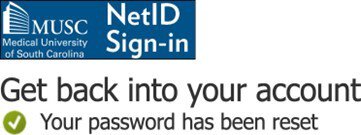 screen capture showing password has been reset
