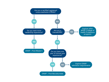 A graphic visually depicting pathway choices for the Doctor of Nurse Anesthesia Practice (DNAP) program.