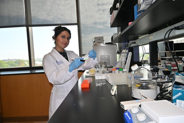 Dr. Sara Shoeibi working in Dr. Wang's lab
