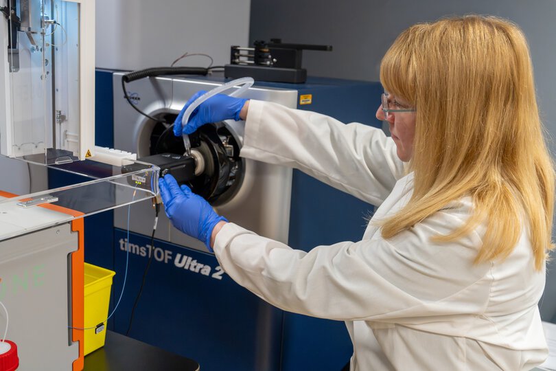 Cancer researcher Peggi Angel, Ph.D., has developed new techniques to study changes in the extracellular matrix.