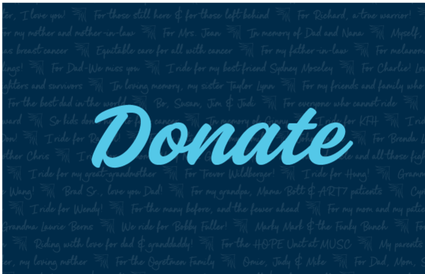 LOWVELO graphic with word donate