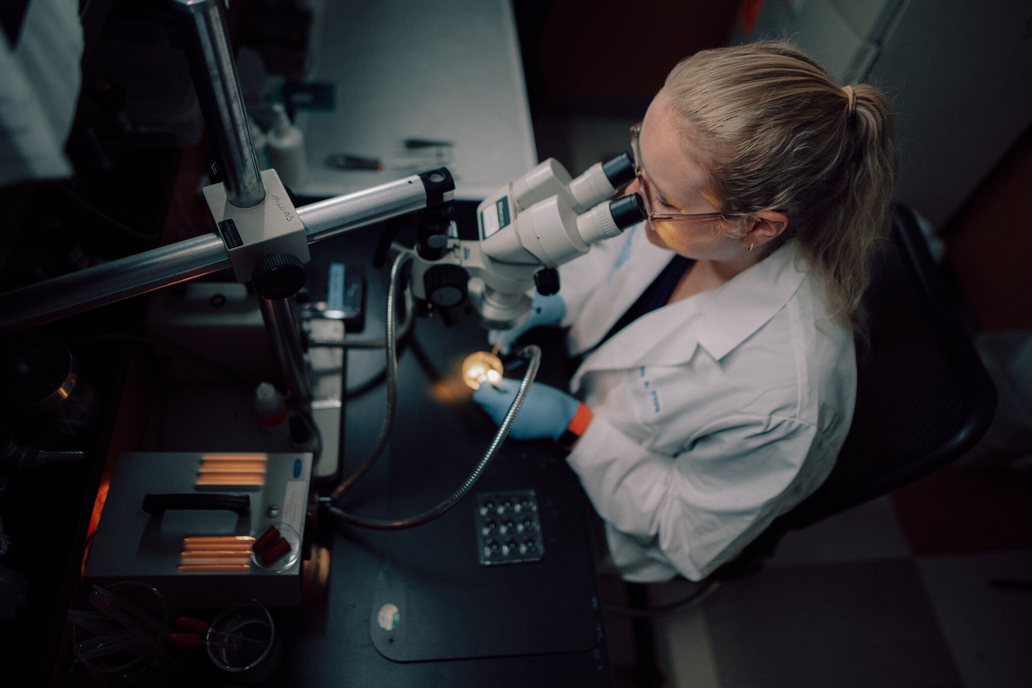 Education & Training | Department of Pathology & Laboratory Medicine ...