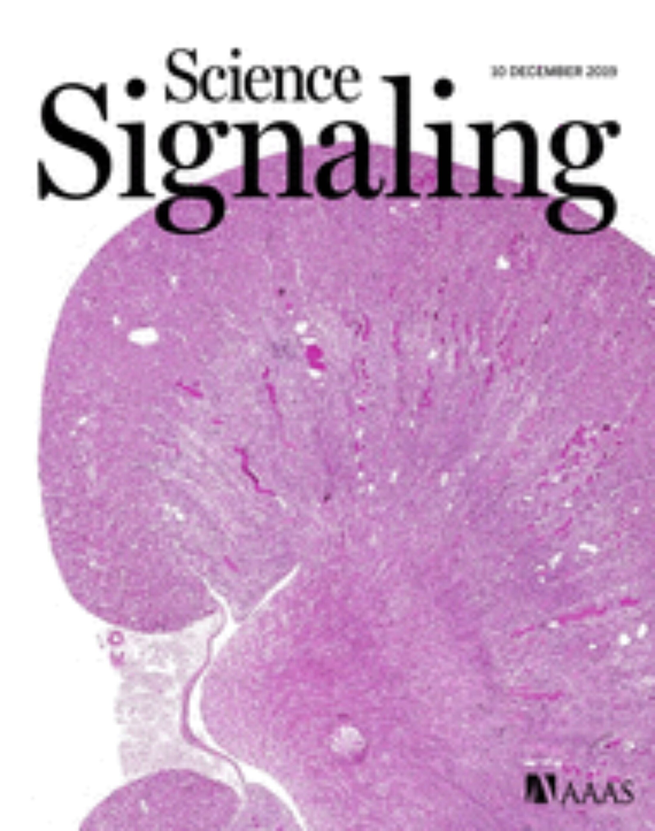 Science Signaling Journal Cover
