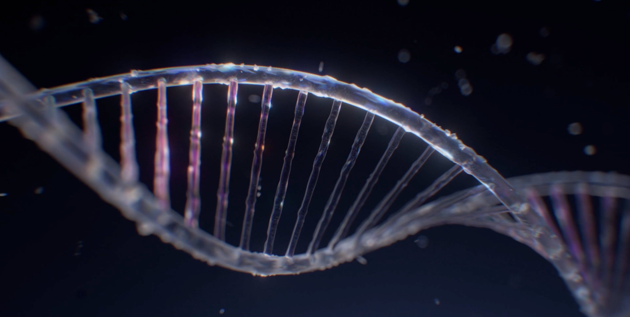 In Our DNA SC video about the history and future of MUSC Health and providing cutting edge genetics to patients