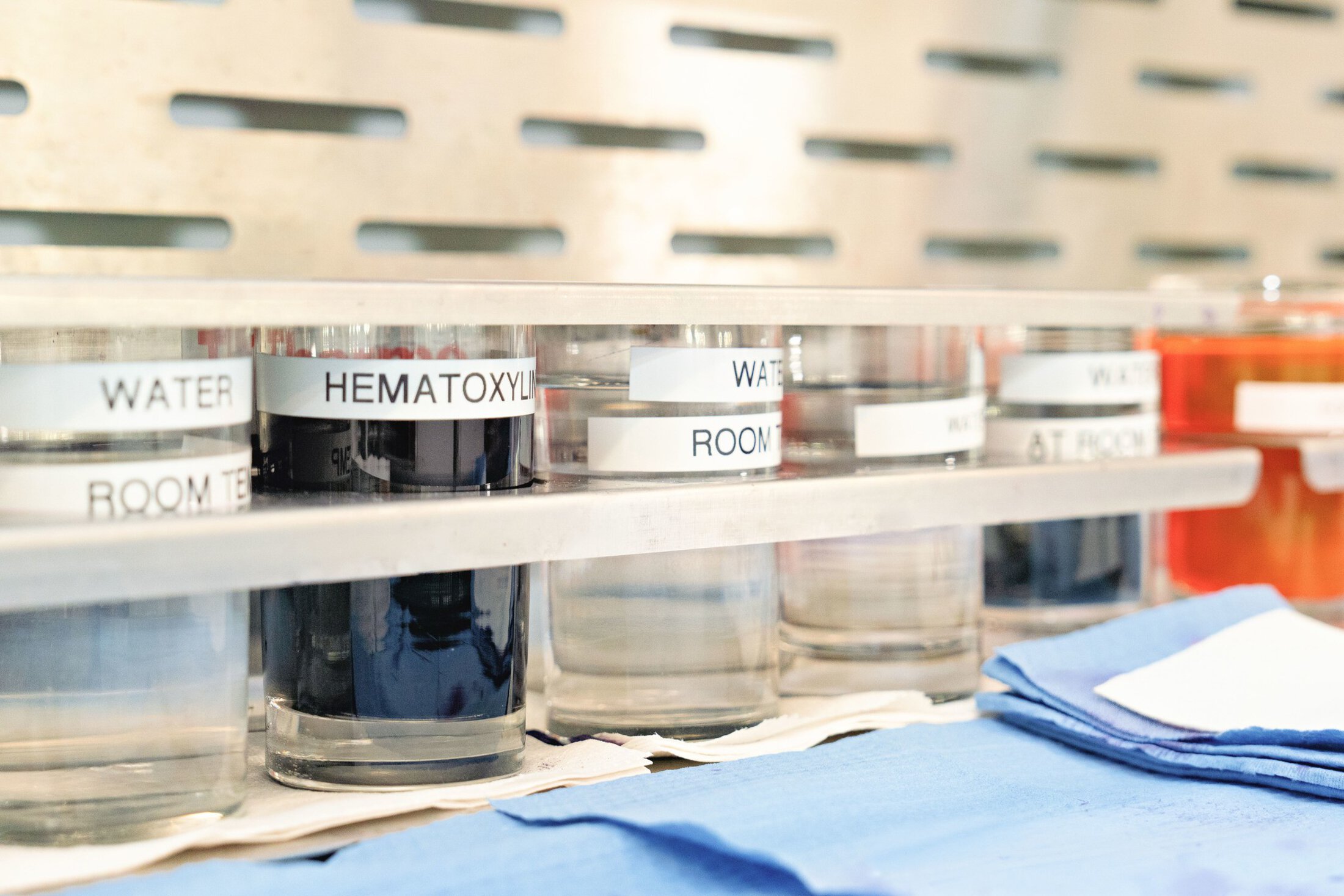closeup of beakers in a lab
