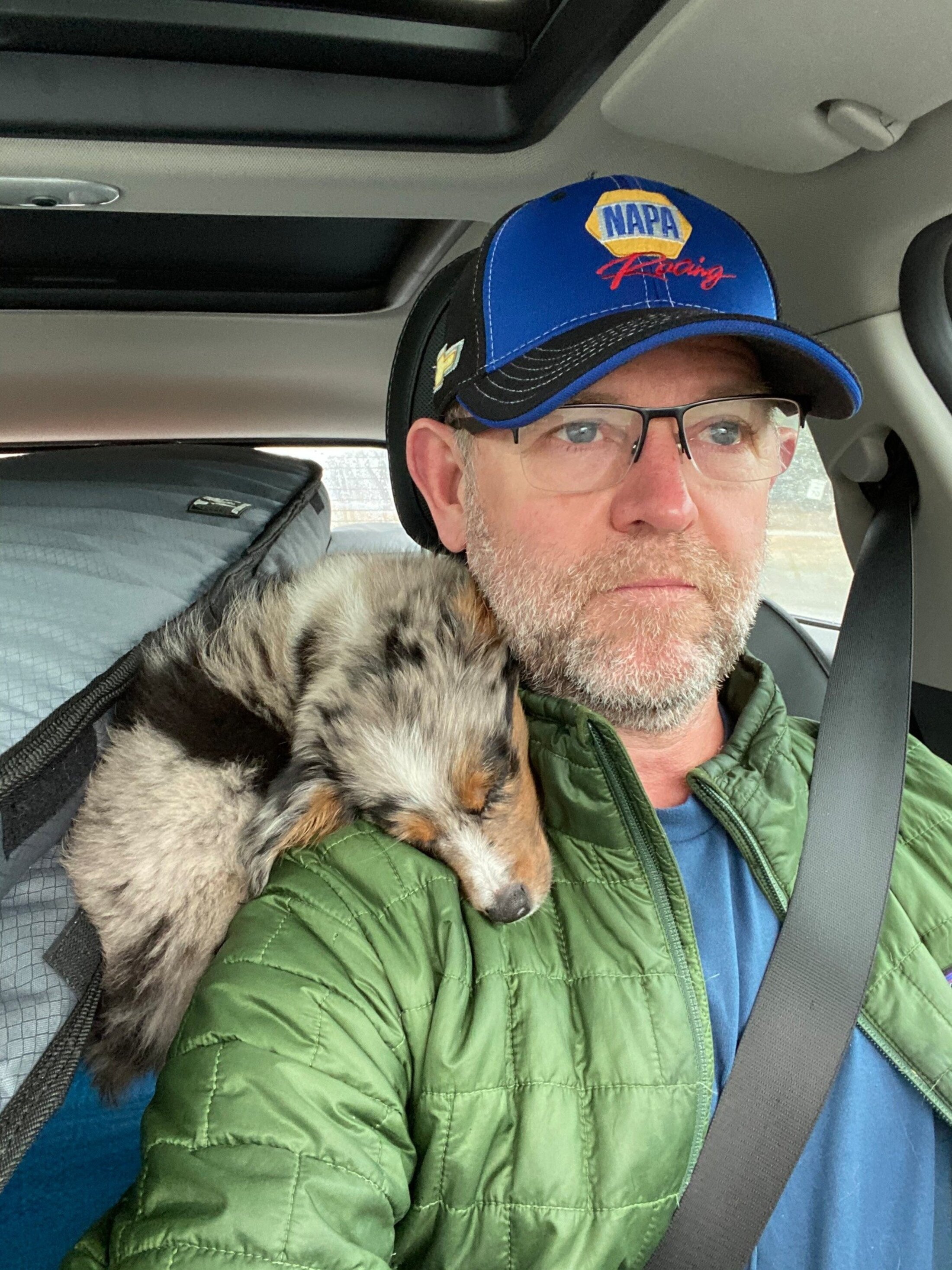 A man drives with a small Australian shepherd puppy snoozing on his shoulder.