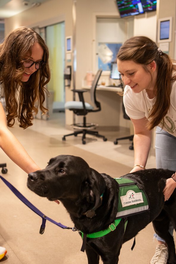 Therapy black lab dog with two women in the hospital