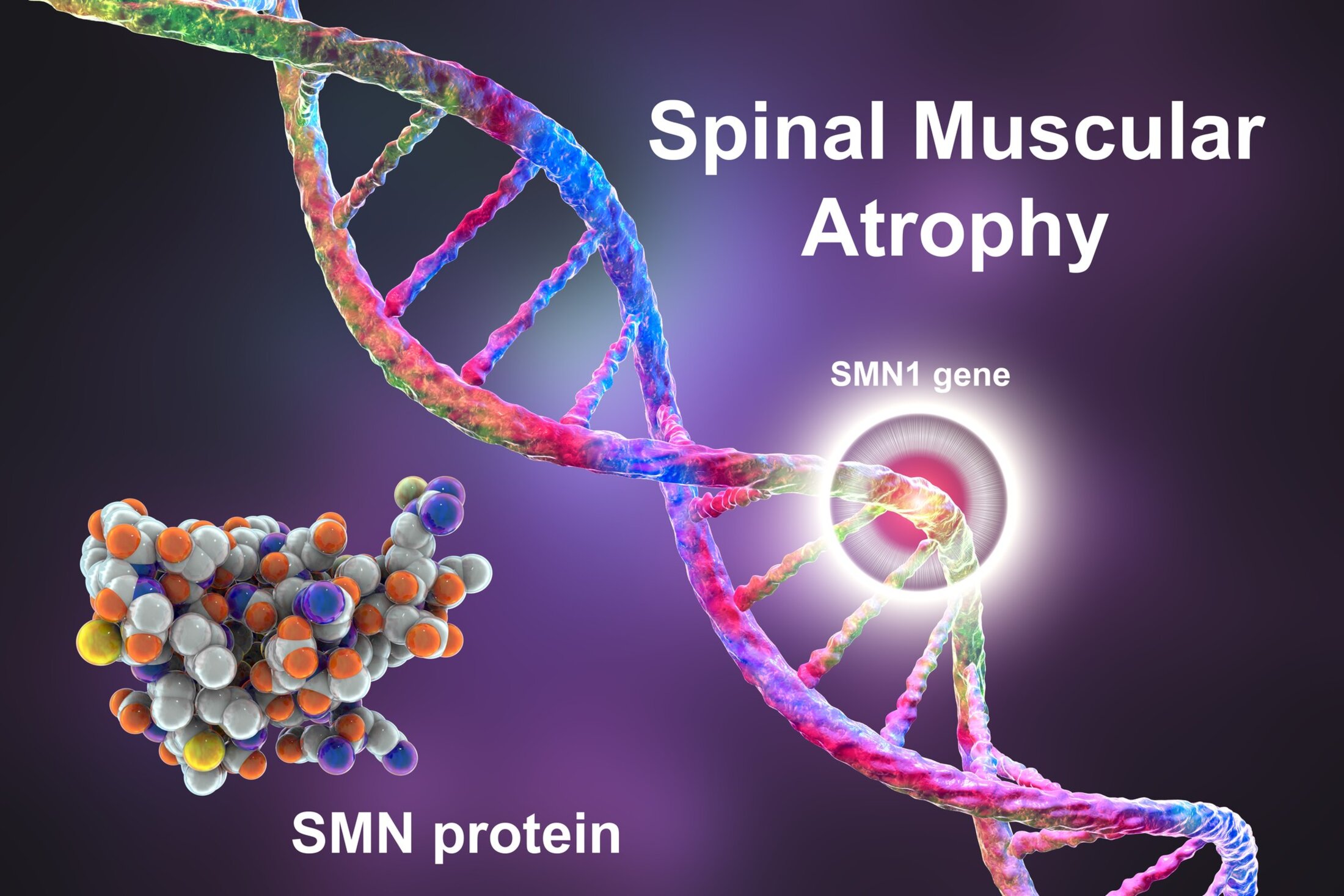 Purple background. On the left is a strand of genetic material. There's also, to the left, a group of green, gray, orange and yellow dots stuck together with the words 