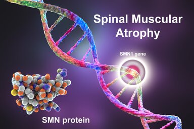 Purple background. On the left is a strand of genetic material. There's also, to the left, a group of green, gray, orange and yellow dots stuck together with the words 