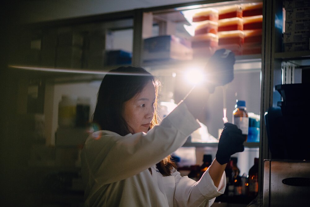 researcher working in lab
