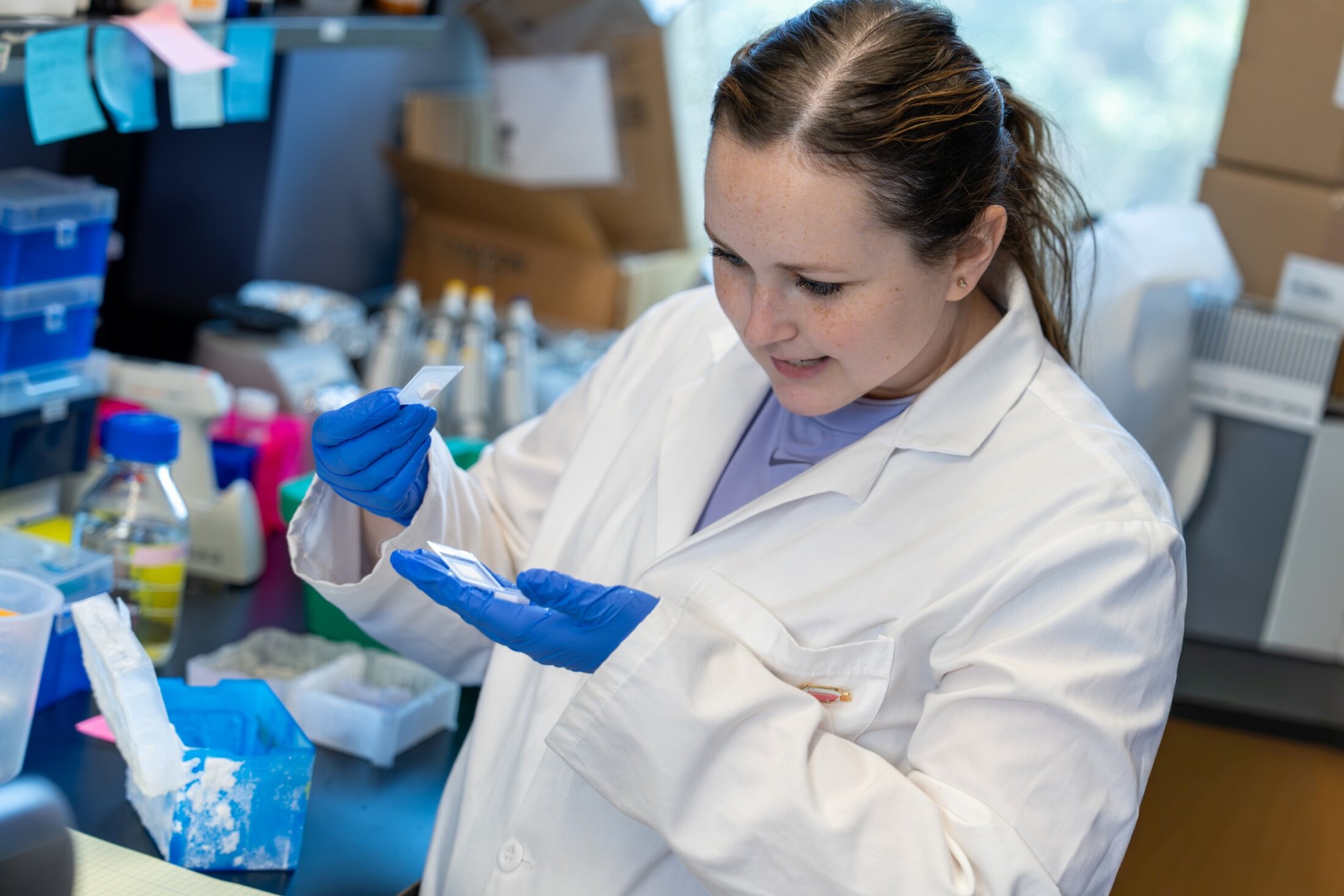 A scientist examines sample slides pulled from a frozen container.