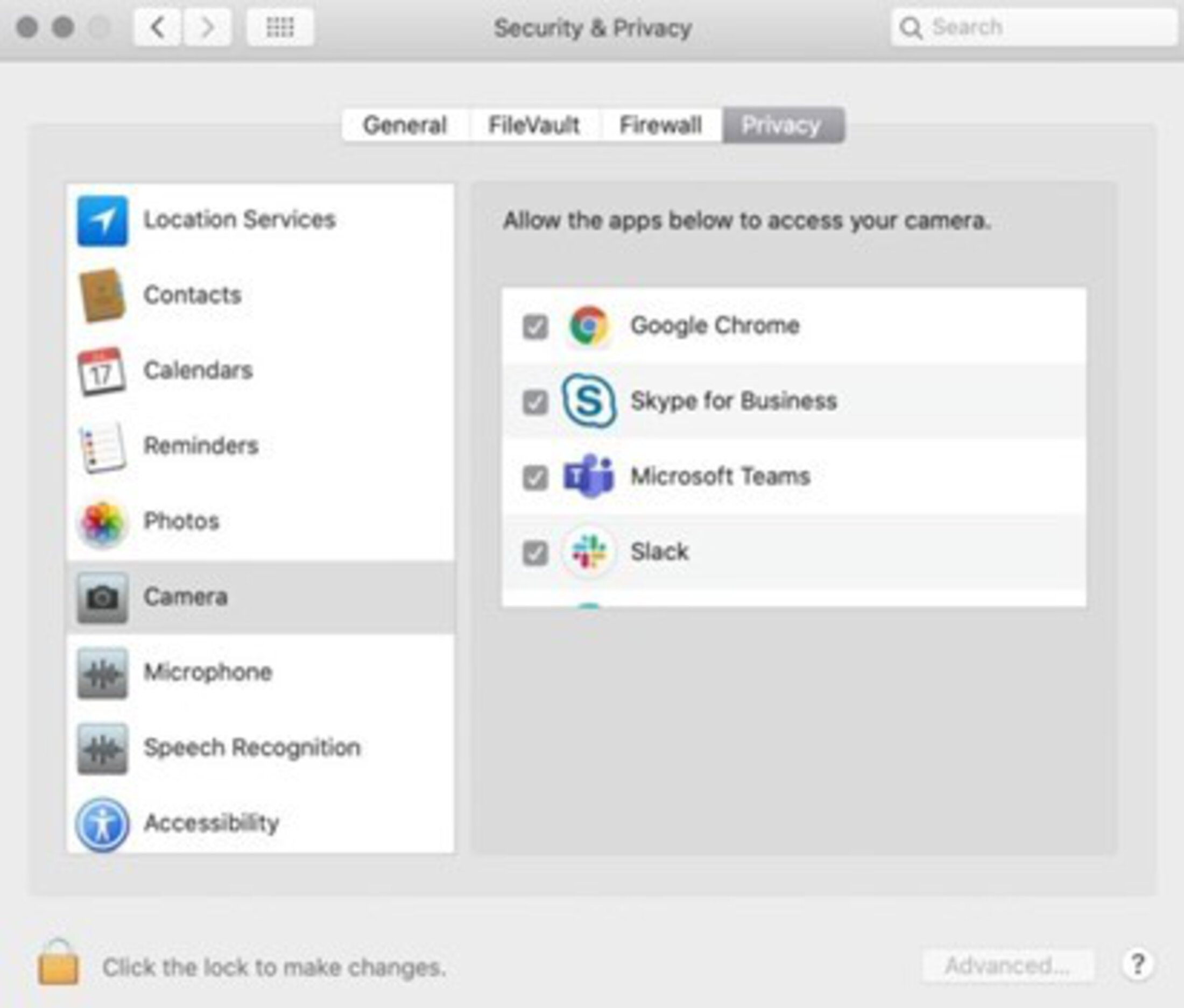 Screen grab of MAC Security and Primacy Settings for your telehealth appointment. These steps walk you through the setup for MAC.