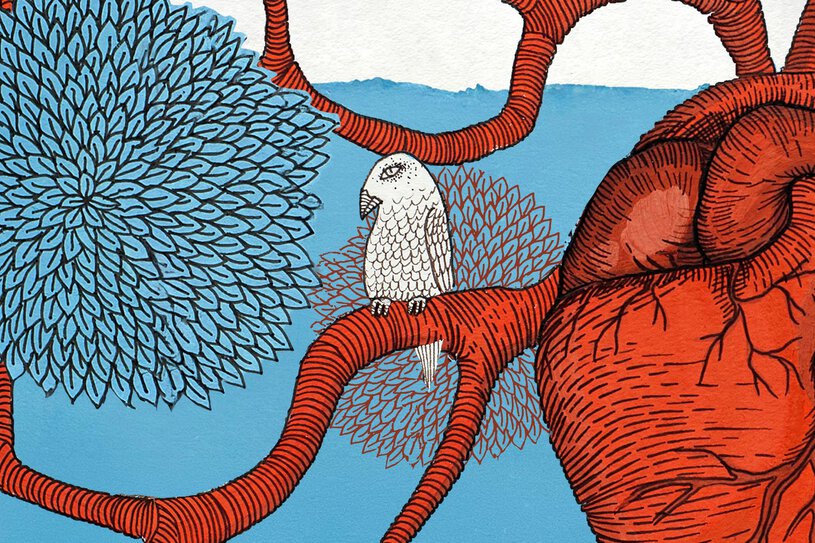 artwork depicting a human heart