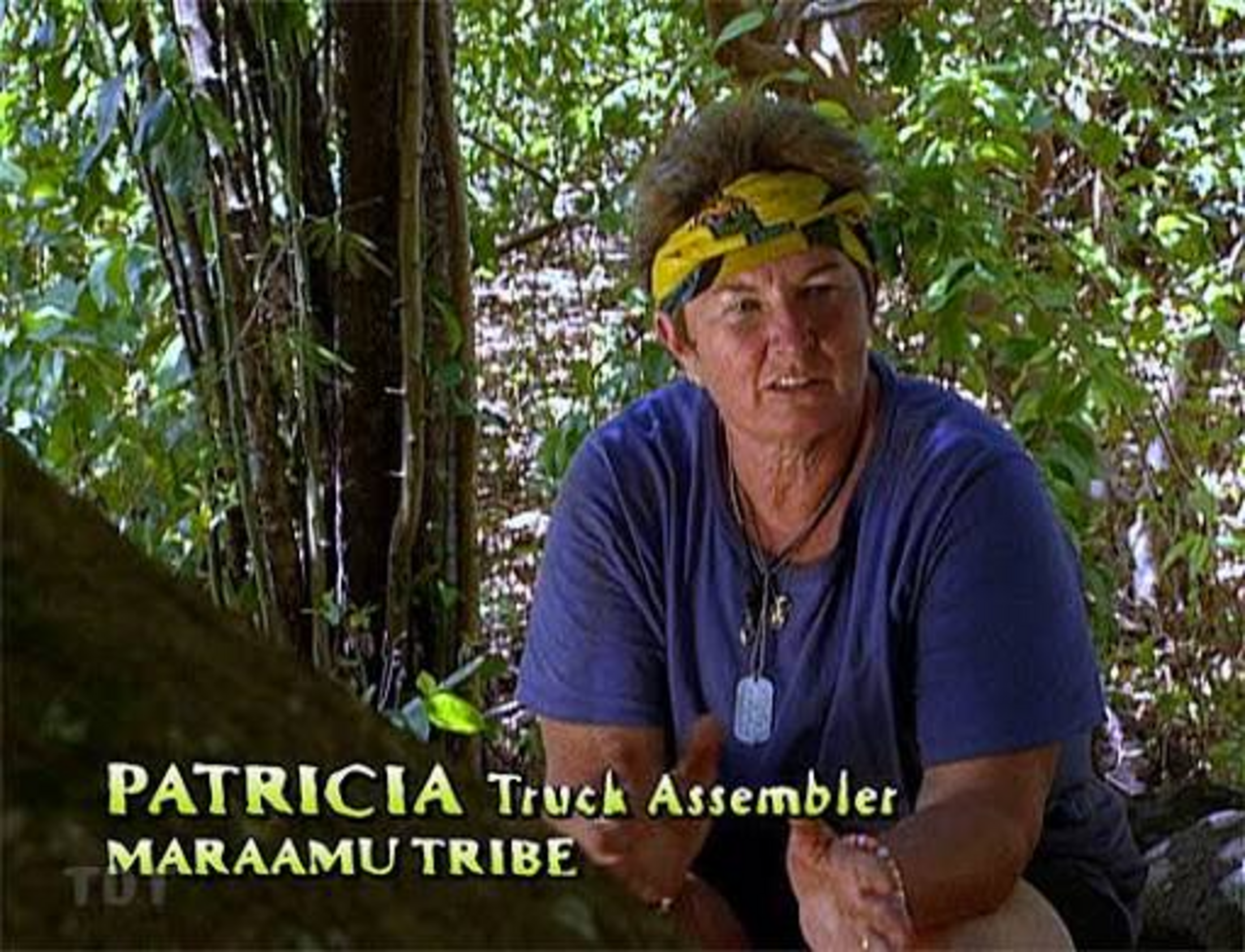 A woman with a yellow scarf around her head wears a purple t-shirt as she sits on a tree in the woods. The words Patricia, truck assembler, Maraamu Tribe are on the lower left side of the image.