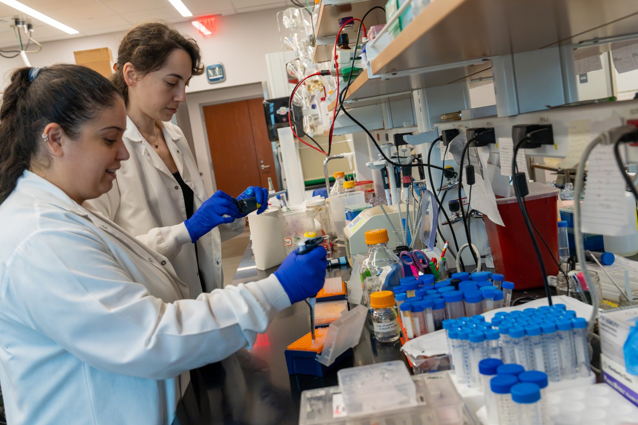 Two junior researchers work at the bench in a cancer research lab.