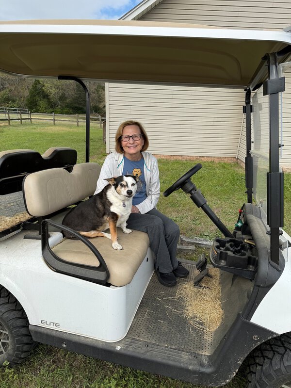 A woman sits in a golf cart with a corgi-type dog.