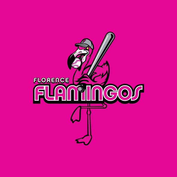 South Carolina Florence Flamingos minor league baseball team