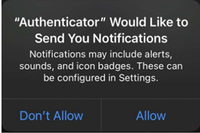 screen capture shows allow or don't allow notifications