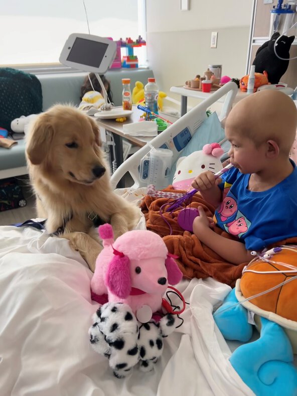 Cher and Madeline therapy session with golden lab dog