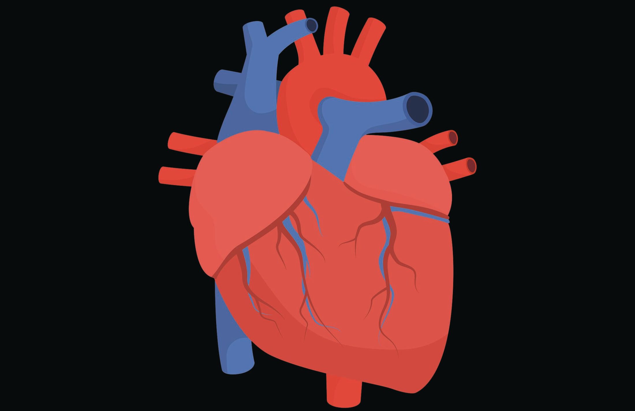 A heart in red and blue on a black background.