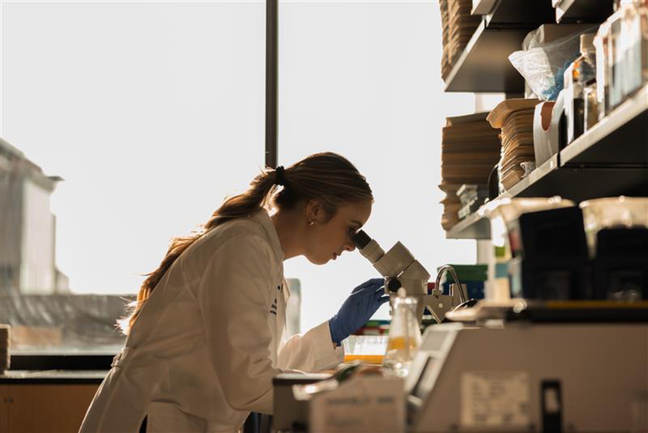 A doctor in the lab viewing samples using a magnifying scope